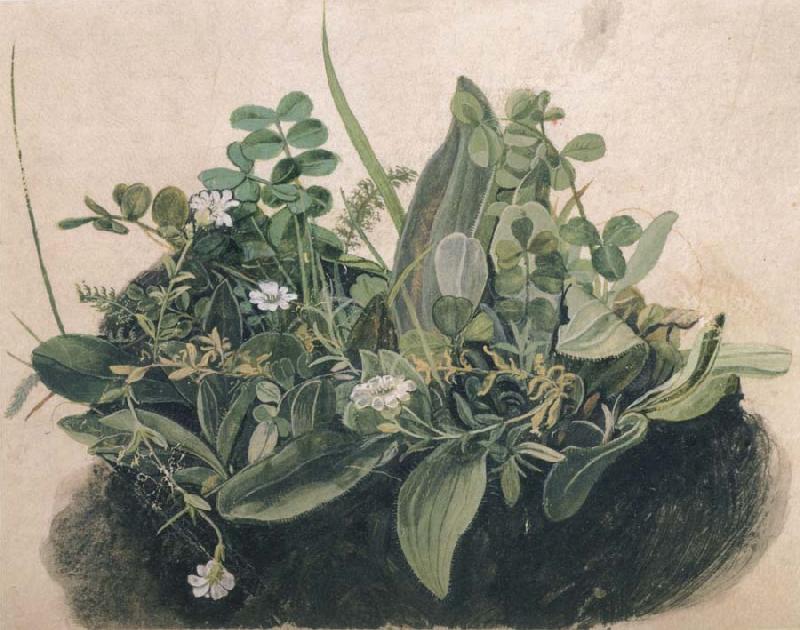 unknow artist Small Clump of Wayside Plants oil painting picture